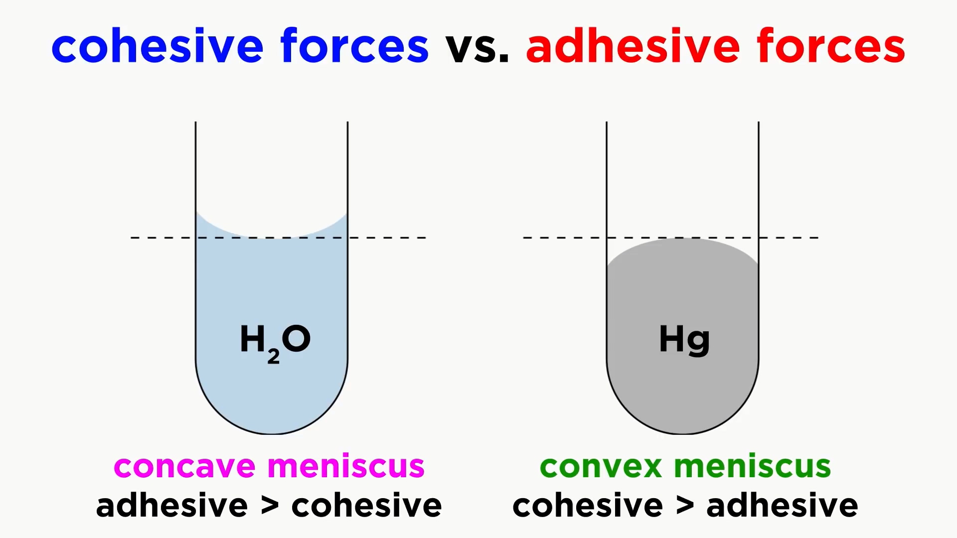 Viscosity, Cohesive and Adhesive Forces, Surface Tension, and Capillary Action